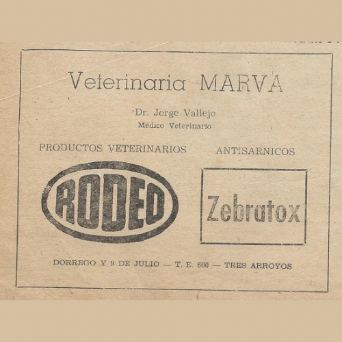 Historia y publicidad