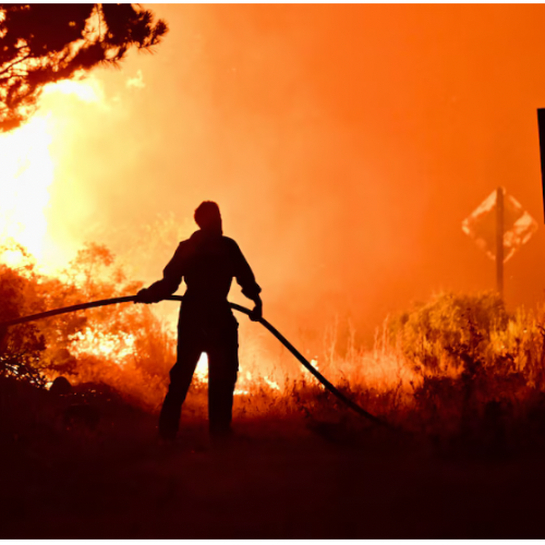 El incendio en Puerto Patriada en Chubut sigue activo y ya arras&oacute; casi 12.000 hect&aacute;reas