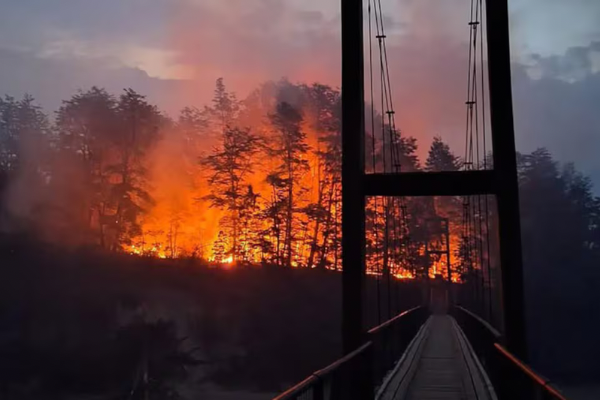 Avanza el incendio en Los Alerces y ya son 10 mil las hect&aacute;reas afectadas