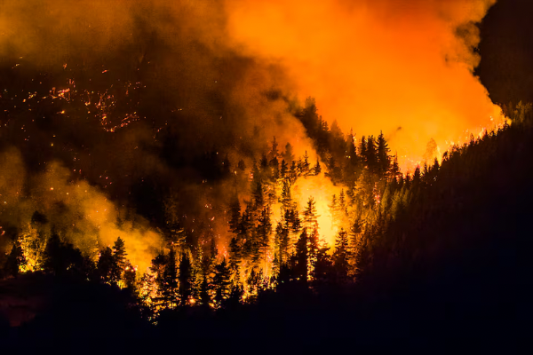 “Esto debería ser una tragedia nacional”: avanza el fuego en el noroeste de Chubut