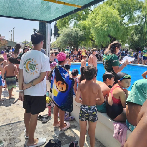 Encuentro de Natación de Colonias con gran participación infantil
