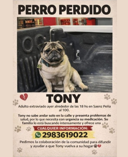 Buscan a Tony