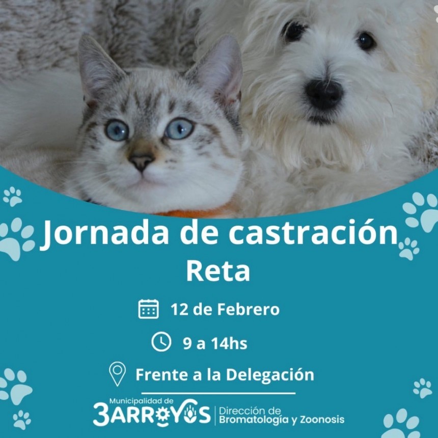 Castraci&oacute;n gratuita en Reta el mi&eacute;rcoles