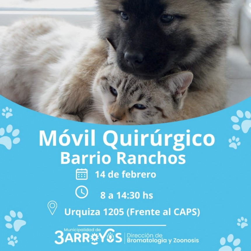 Viernes 14: Castraci&oacute;n gratuita en Barrio Ranchos 