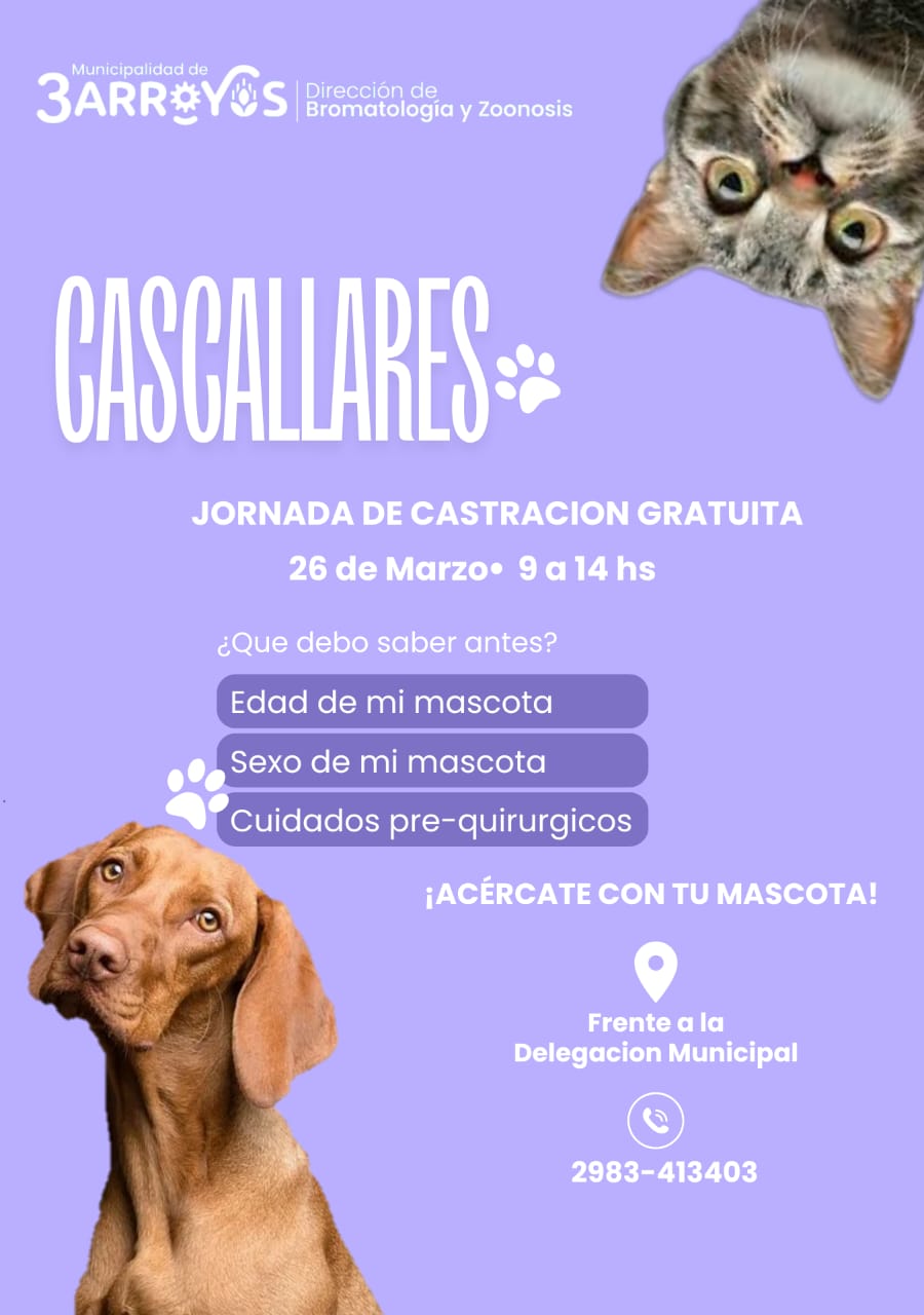 Jornada de Castración gratuita en Cascallares 