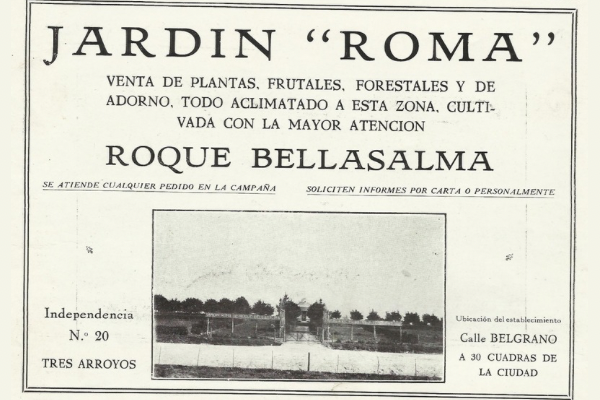 Historia y publicidad