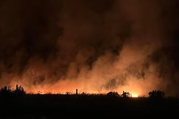 Incendios en Mar del Plata: m&aacute;s de 200 hect&aacute;reas arrasadas y sospechan que fueron provocados