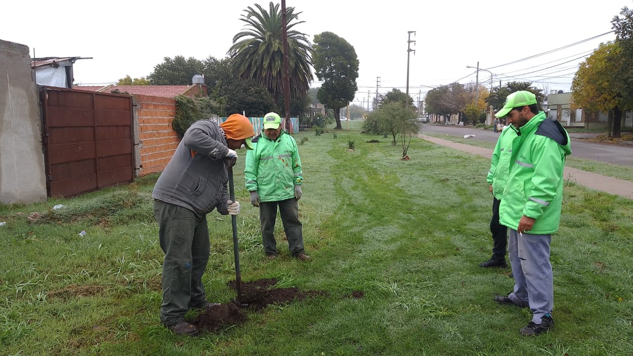 Gesti&oacute;n ambiental: plantaci&oacute;n de nativos y colocaci&oacute;n de cestos de residuos