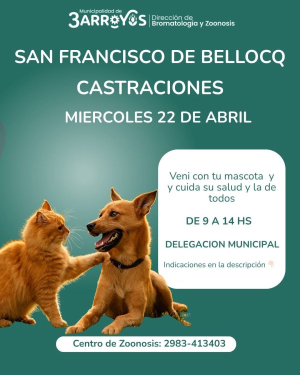 Jornada de castraciones para canes y felinos en Bellocq 