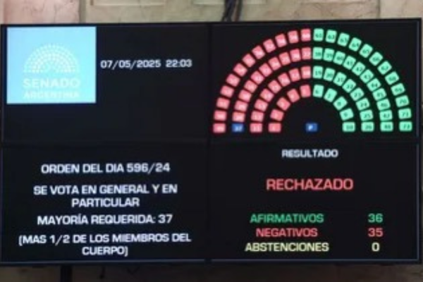 El Senado rechaz&oacute; el proyecto de Ficha Limpia por un voto