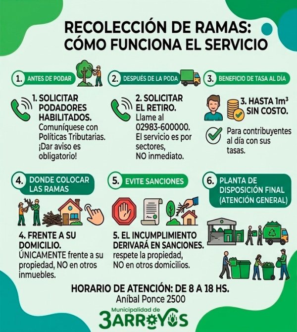 Recolecci&oacute;n de ramas: el Municipio recuerda c&oacute;mo funciona el servicio
