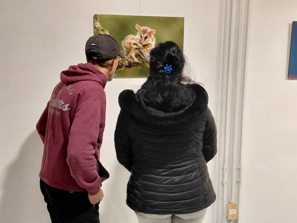 Mulazzi: qued&oacute; inaugurada la muestra de fotonaturaleza &ldquo;Latidos de la Tierra&rdquo;