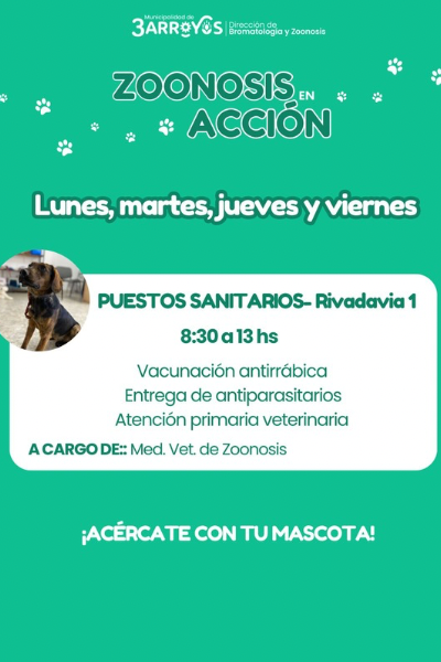 Semana de castraciones masivas: del 7 al 11 de julio