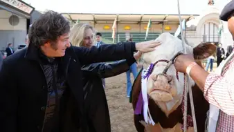 Milei viajar&aacute; a Brasil y cerrar&aacute; la semana con la apertura de la Exposici&oacute;n Rural