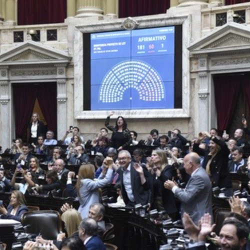 Diputados rechazó los vetos a la emergencia pediátrica y al financiamiento universitario