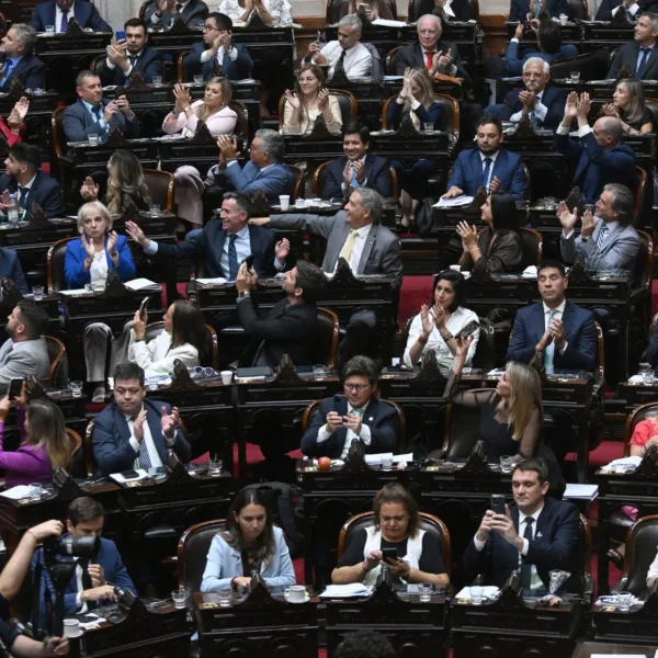 El oficialismo logr&oacute; dictamen de mayor&iacute;a para su proyecto sobre Discapacidad 