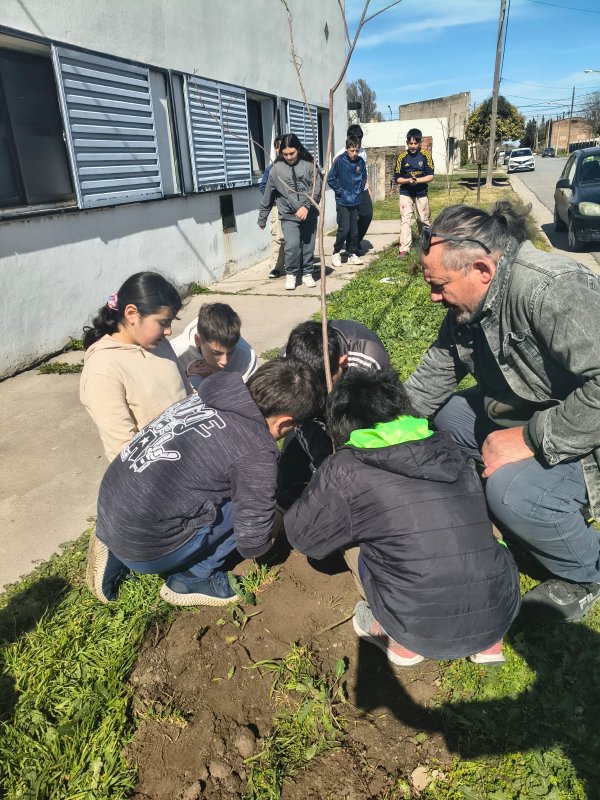 &Aacute;rboles en escuelas