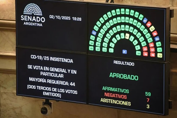 El Senado rechazó los vetos de Milei y convirtió en ley la emergencia pediátrica y el financiamiento universitario