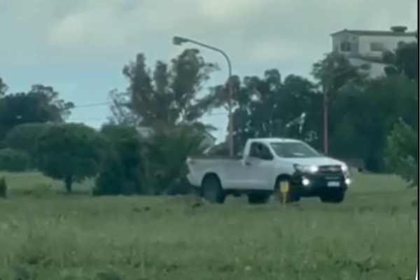 El Municipio identificó al conductor que realizó maniobras peligrosas: medio millón de pesos de multa
