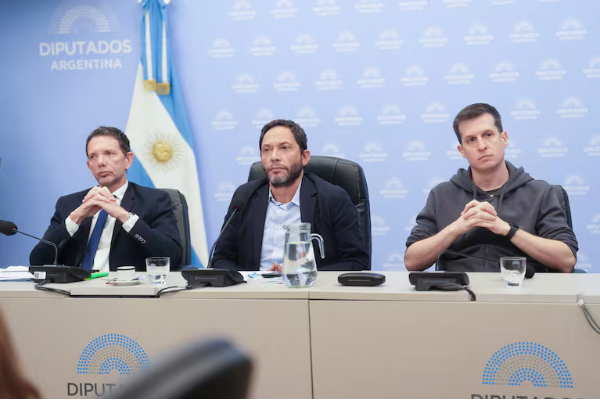 La comisi&oacute;n del caso Libra presenta su informe final 
